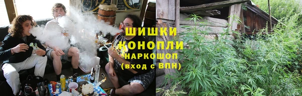 молекула духа Алзамай