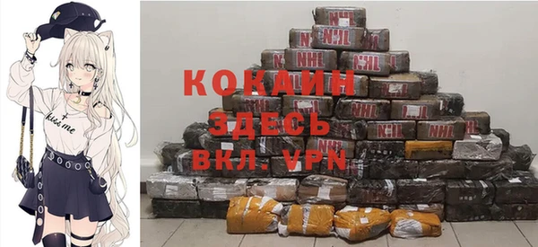 индика Нефтегорск