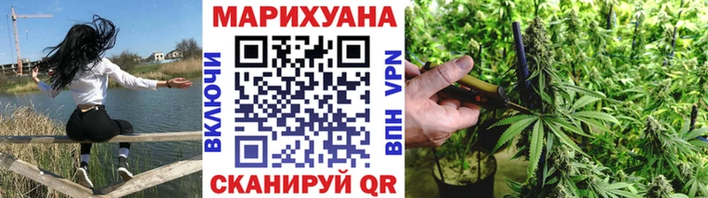 Шишки марихуана сатива  Краснообск 